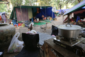 Cambodian displacement crisis enters prolonged phase; tens of thousands unable to return home