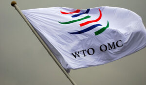 Is the WTO growing irrelevant or adapting to a fragmented global economy?