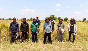 Calls for restraint over reported Thai military activities in unlawfully occupied areas