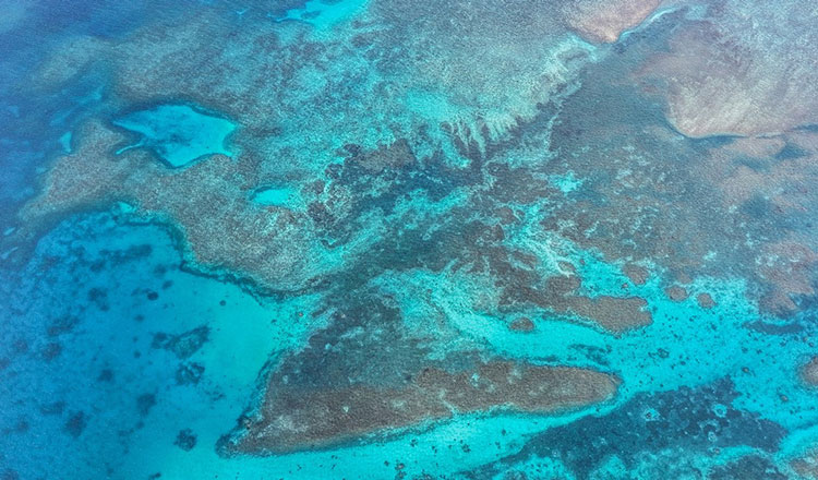 High science achievements need down-to-earth research