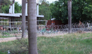 Thai troops ‘fired weapons’ during military attachés’ border visit