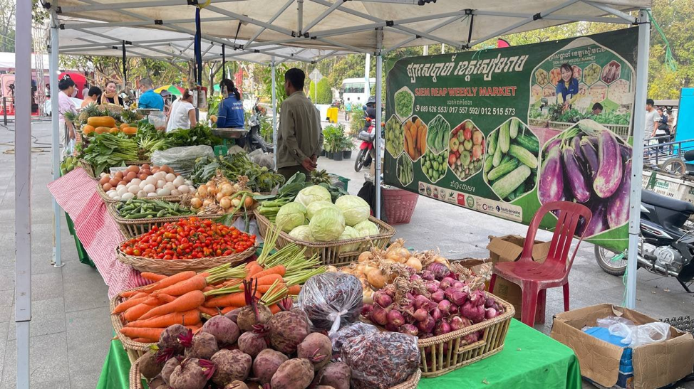 Cambodian Economy Showing Cautious Resilience; Reported Jobs, Investment Growing