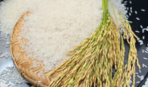 A grain of Cambodian jasmine rice tells a story of ironclad friendship