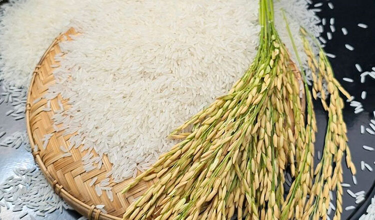 A grain of Cambodian jasmine rice tells a story of ironclad friendship