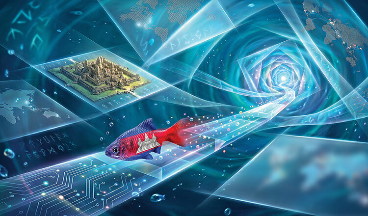 Can small fish Cambodia learn to swim faster in a multi-dimensional world?