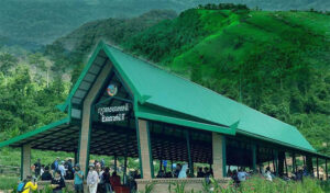 Trees make green destinations thrive: The story of Knorng Psar