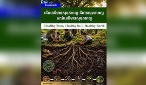 Healthy trees, healthy soil, healthy earth