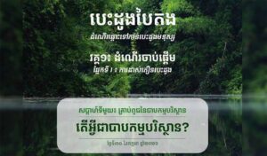 Editorial 1 What Is Environmental Sin?