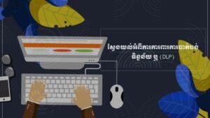 ស្វែងយល់អំពីការការពារការបាត់បង់ទិន្នន័យ ឬ (DLP)