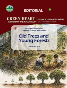 Editorial 33 – Old Trees and Young Forests