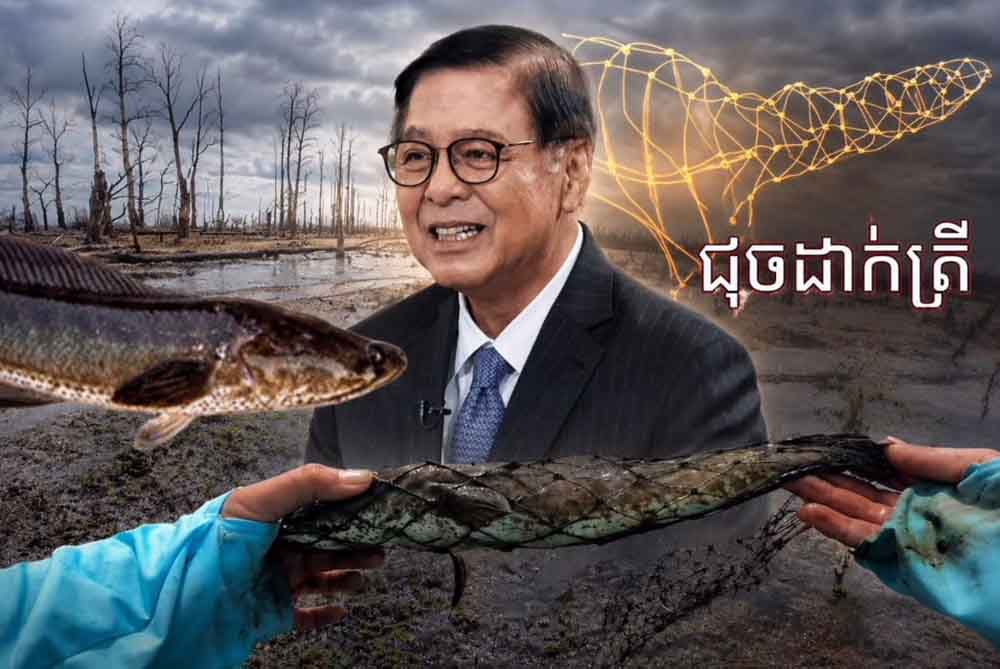 វិចារណកថា៖ «ត្រីចូលជុច»