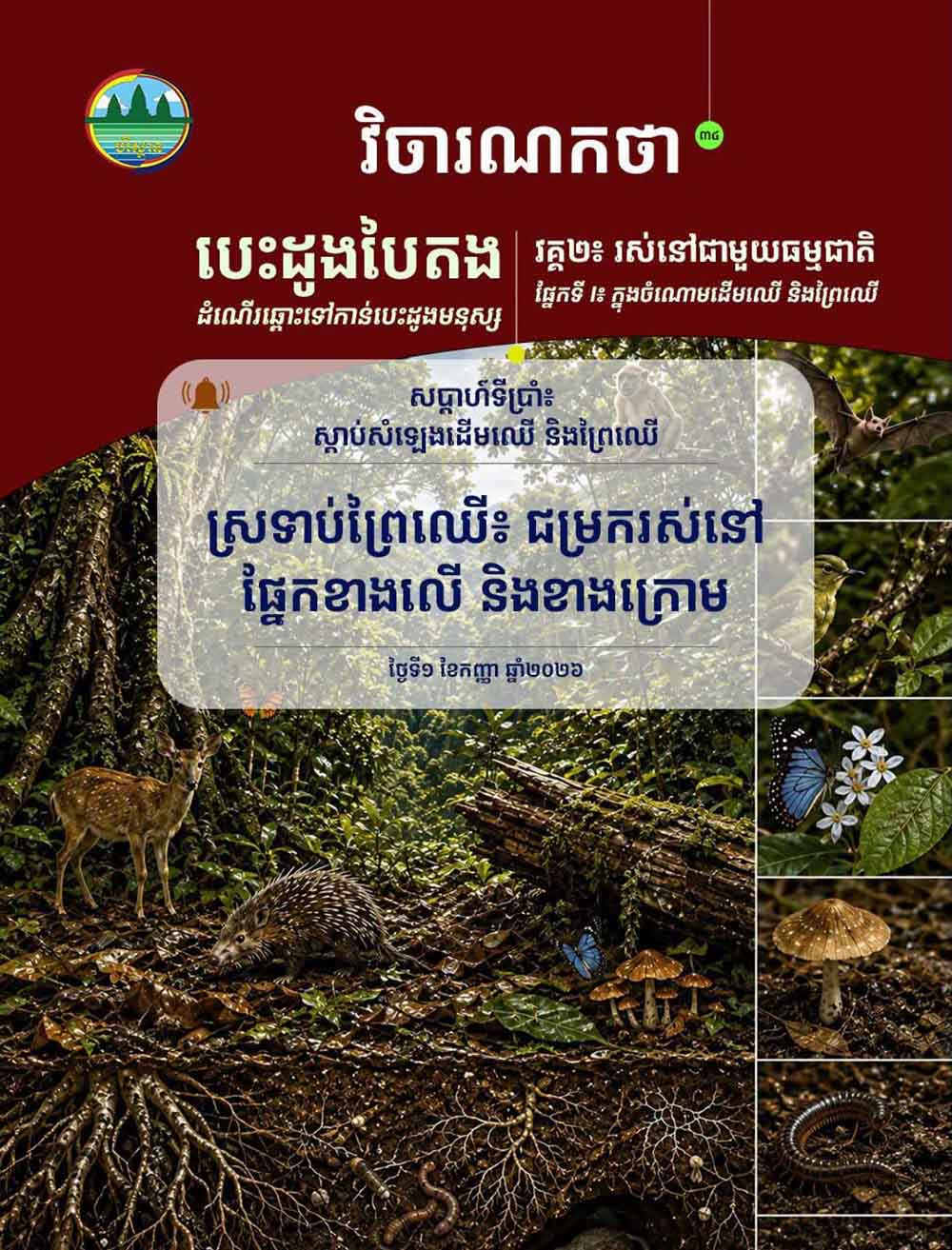 វិចារណកថា ៣៤ – ស្រទាប់ព្រៃឈើ៖ ជម្រករស់នៅផ្នែកខាងលើ និងខាងក្រោម