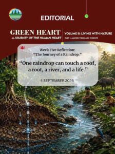 Editorial 37 – The Journey of a Raindrop