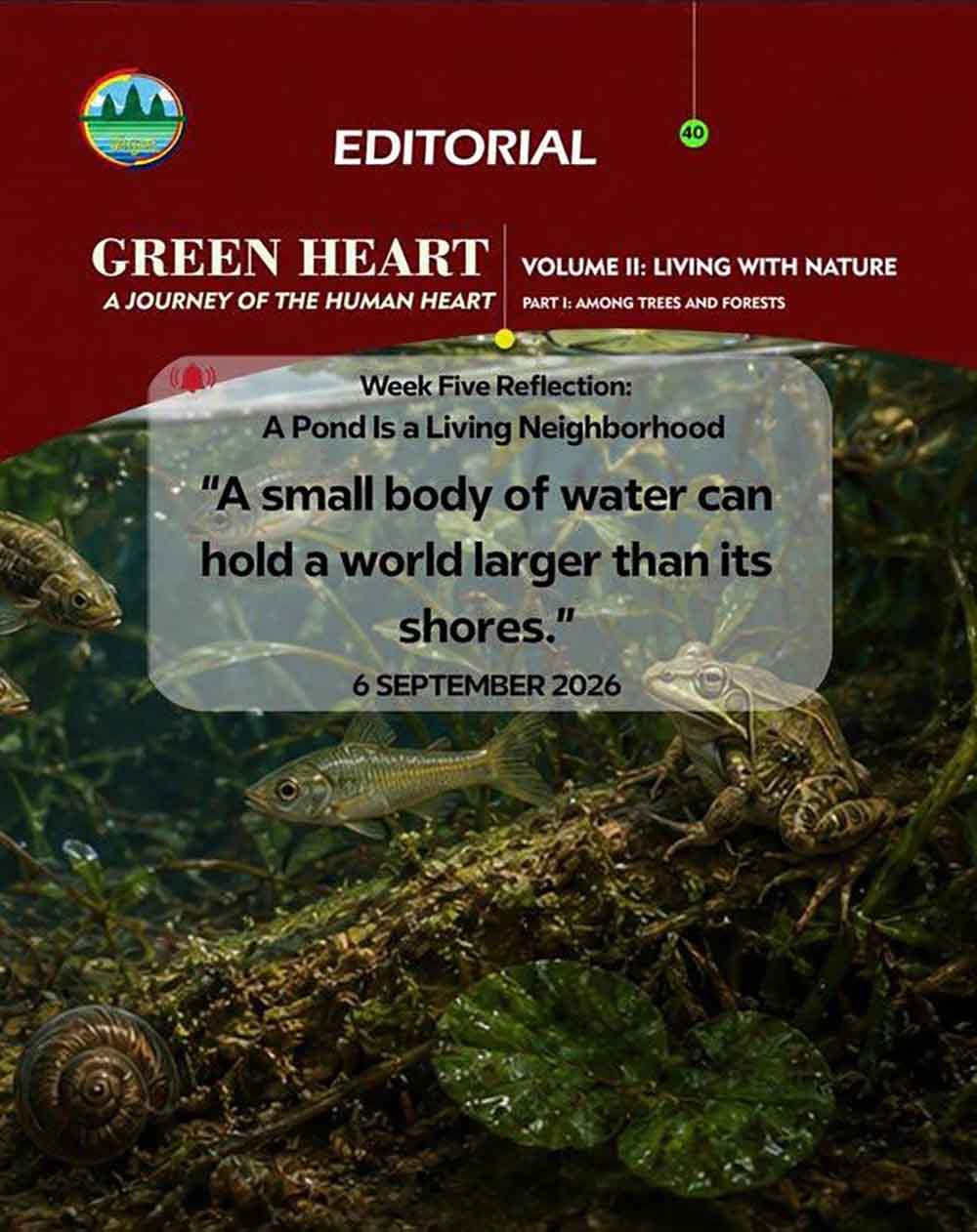 Editorial 40 – A Pond Is a Living Neighborhood