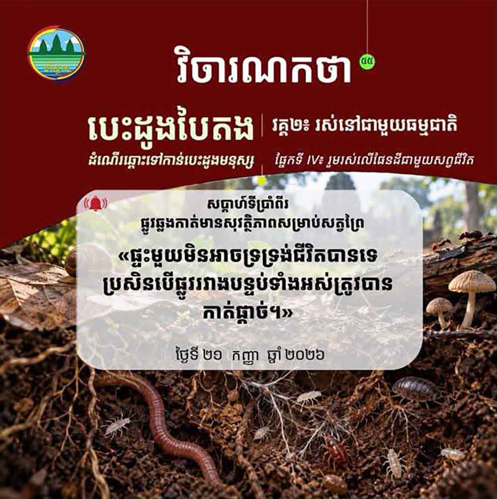 វិចារណកថា ៥៥ -​ផ្លូវឆ្លងកាត់មានសុវត្ថិភាពសម្រាប់សត្វព្រៃ