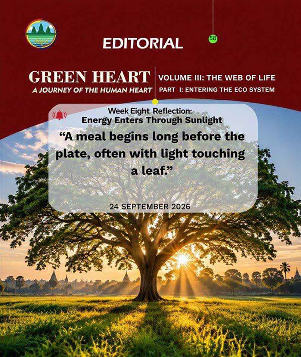 Editorial 58 – Energy Enters Through Sunlight