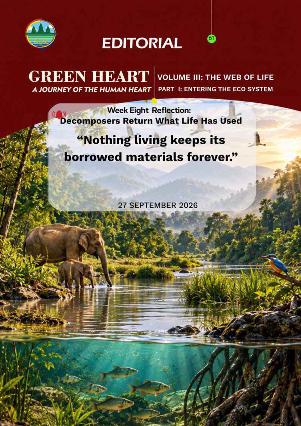 Editorial 61 – Decomposers Return What Life Has Used