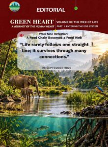 Editorial 62 – A Food Chain Becomes a Food Web
