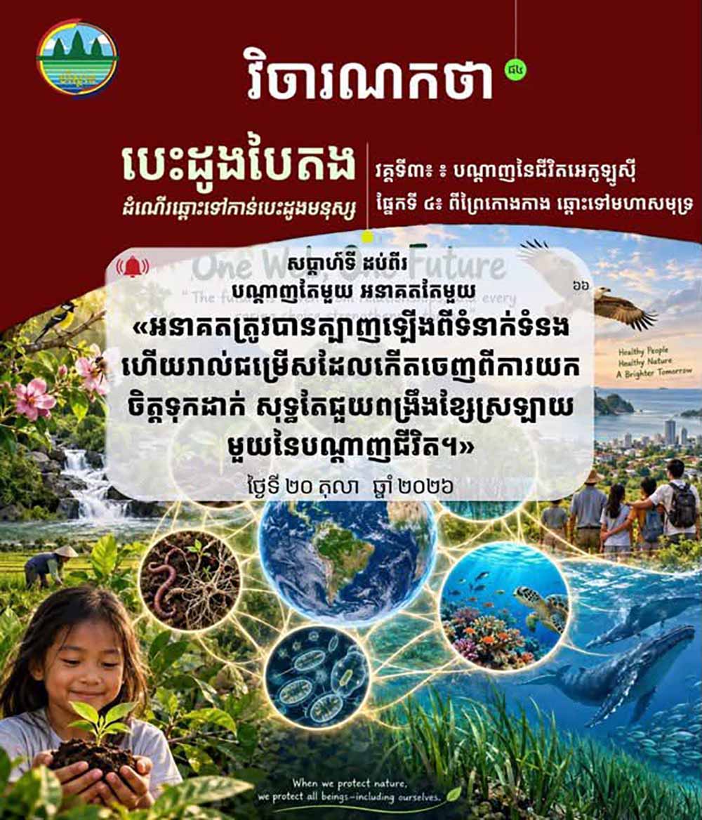 វិចារណកថា ៨៤ – បណ្ដាញតែមួយ អនាគតតែមួយ